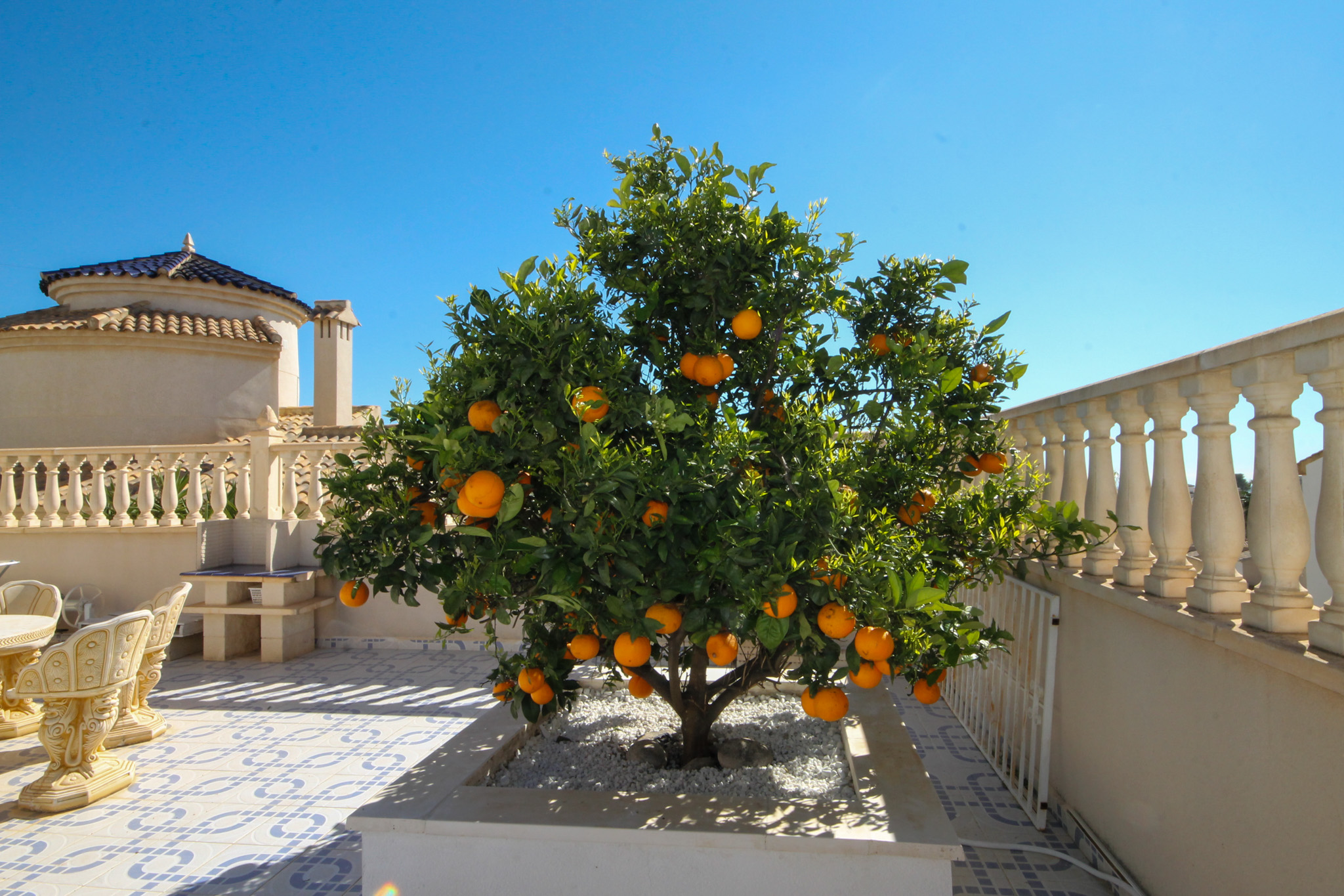 For Sale - Four Bed villa on large plot with heated pool -  - Alicante