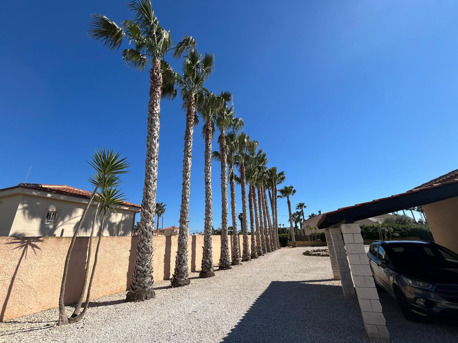 For Sale - 5 Bedroom 5 Bathroom Detached Villa in Catral - Catral  - Alicante