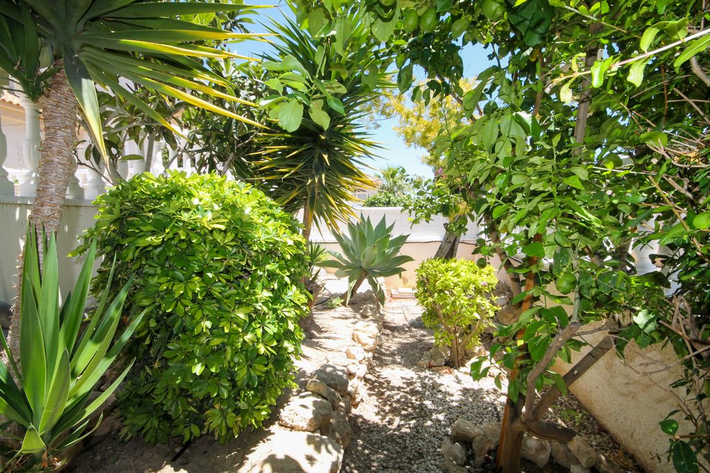 CV0860: Detached Villa for sale in San Miguel de Salinas