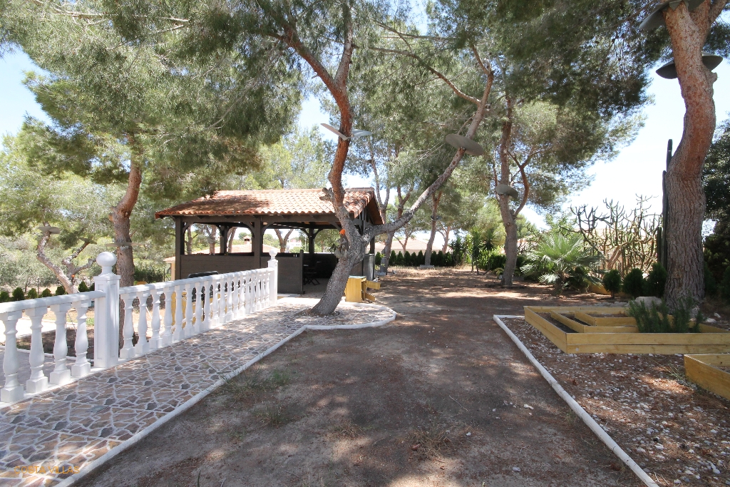 CV0136: Detached Villa for sale in Pilar de la Horadada